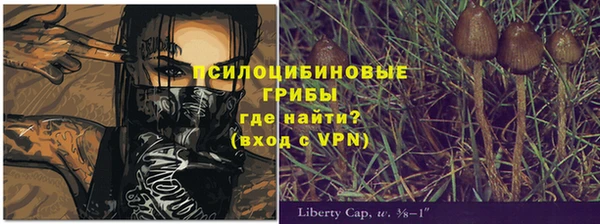 сатива Алзамай
