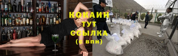 сатива Алзамай