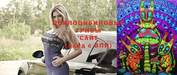 мескалин Алексин