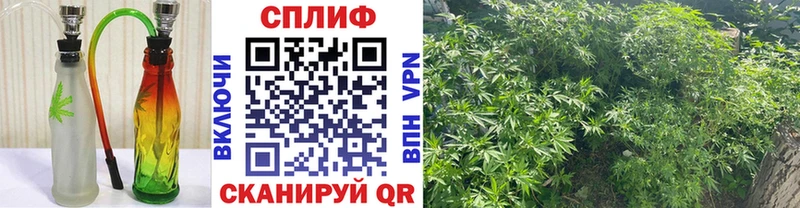 Конопля индика Игра